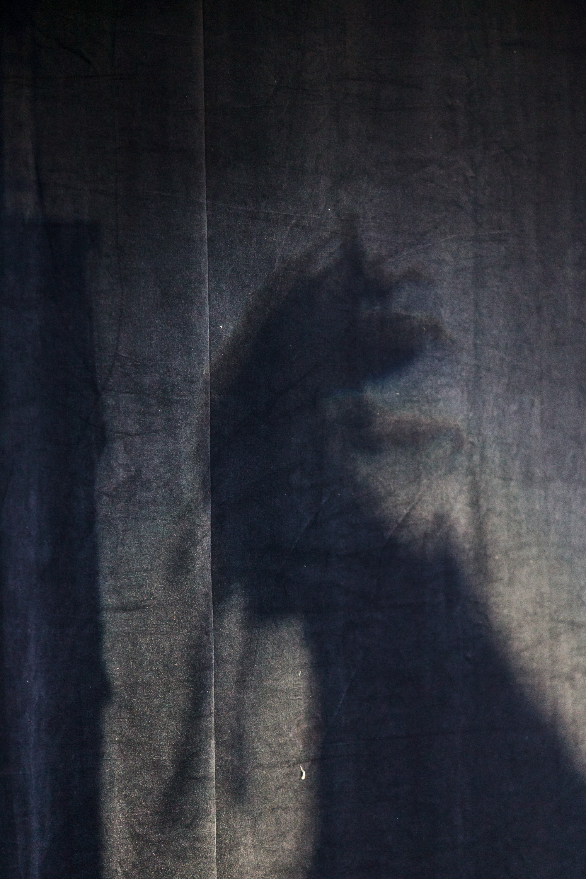 Rainald Grebe. Künstler.