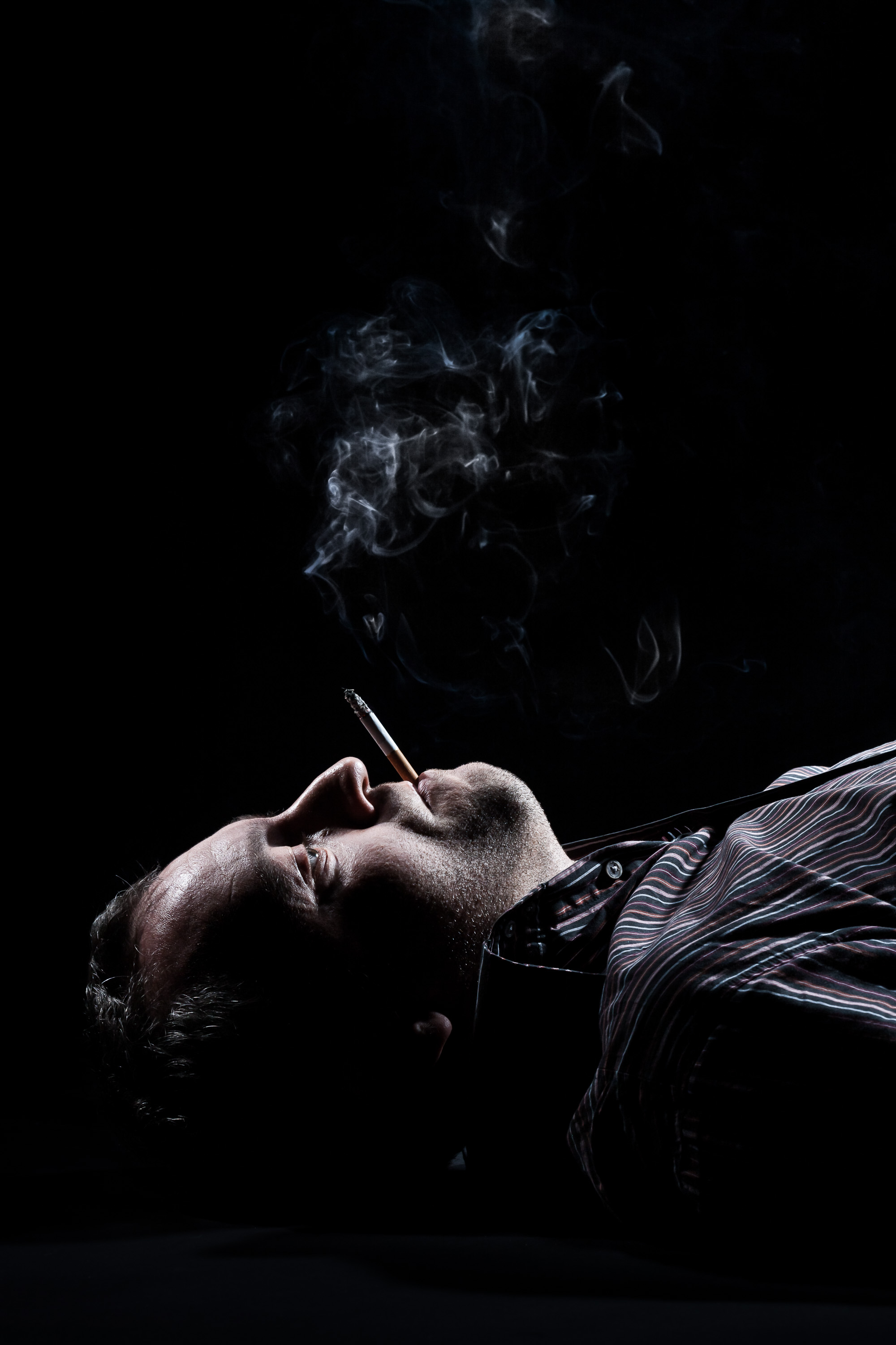 Rainald Grebe. Künstler.