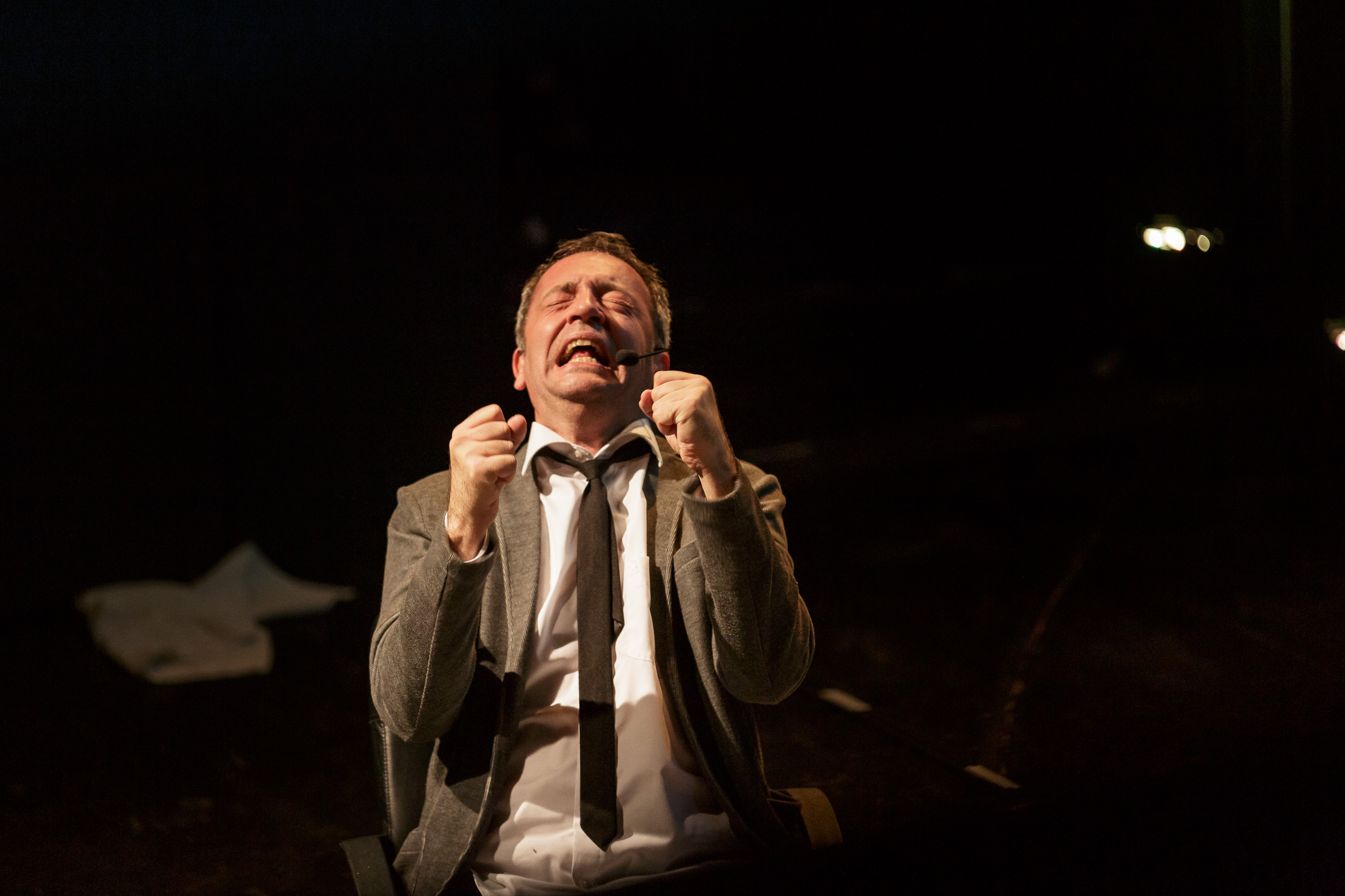 Rainald Grebe. Künstler.