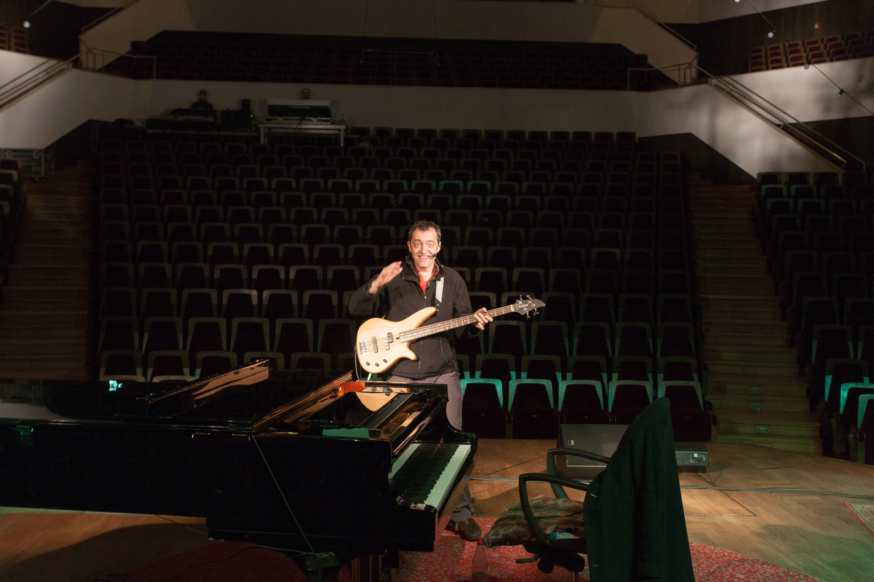 Rainald Grebe. Künstler.