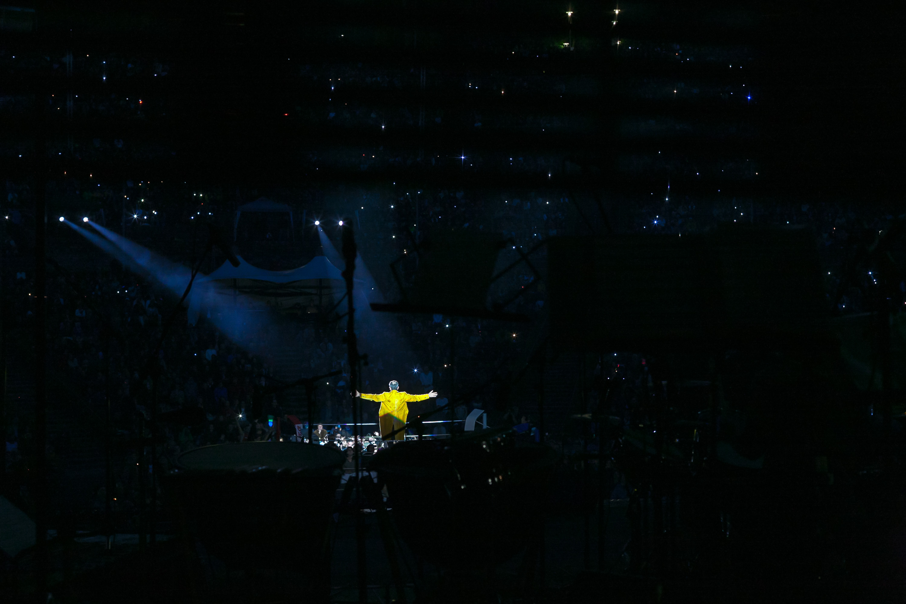 Rainald Grebe. Künstler.