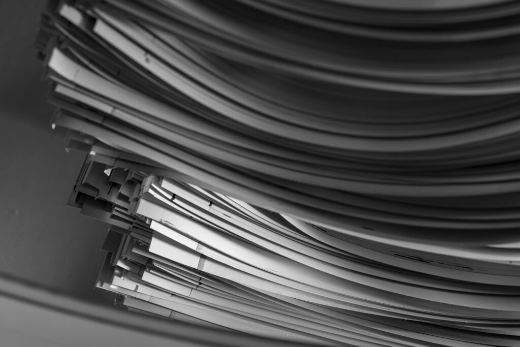 Schimmer Druck Delitzsch