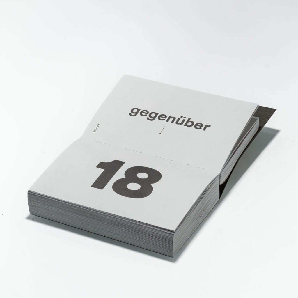 256Garagenkomplexe Buch