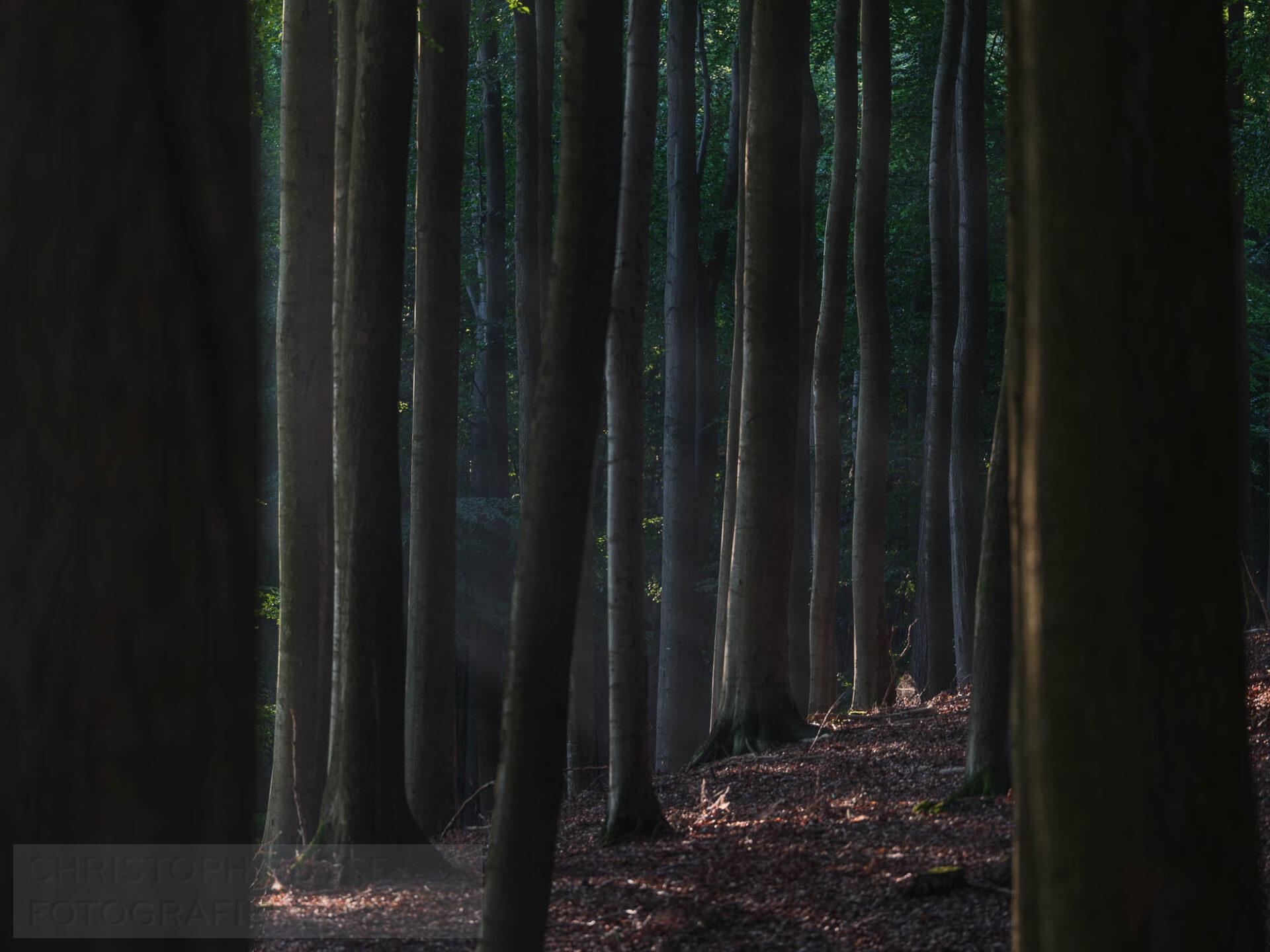 Uckermark