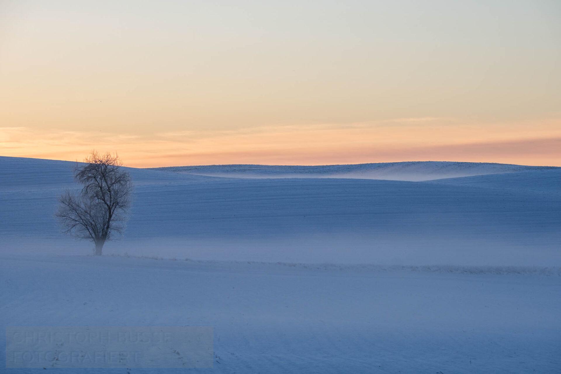Dscf0271