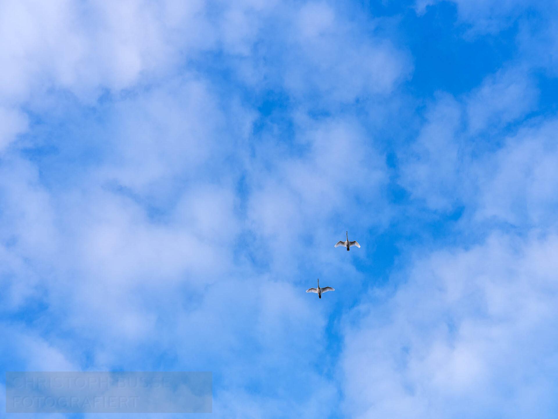 Cb250102 1016